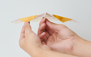 Papillon Origami Airplanes E3