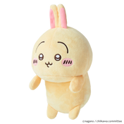 Usagi (1 Piece)