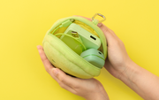 SMISKI Cushion Pouch D4