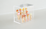 Acrylic Display Case N4