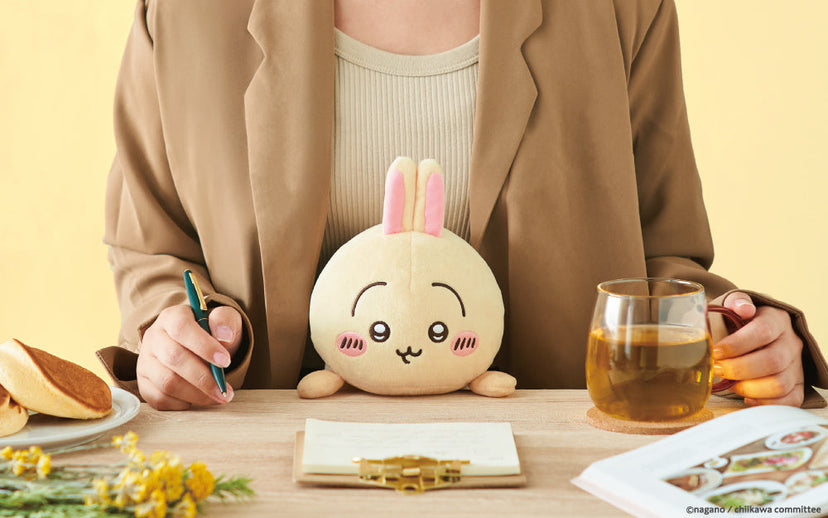 Posture Pal - CHiiKAWA Z5