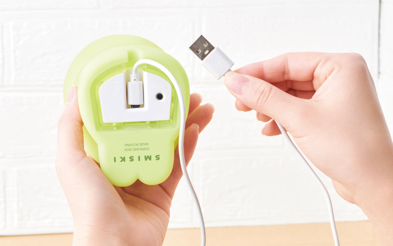SMISKI Touch Light U7