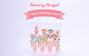 Acrylic Display Case N4