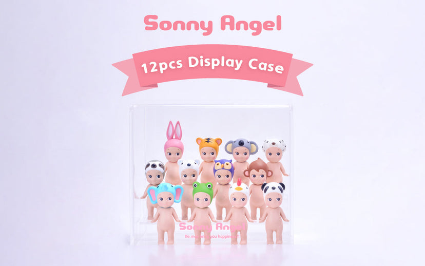 Acrylic Display Case N4