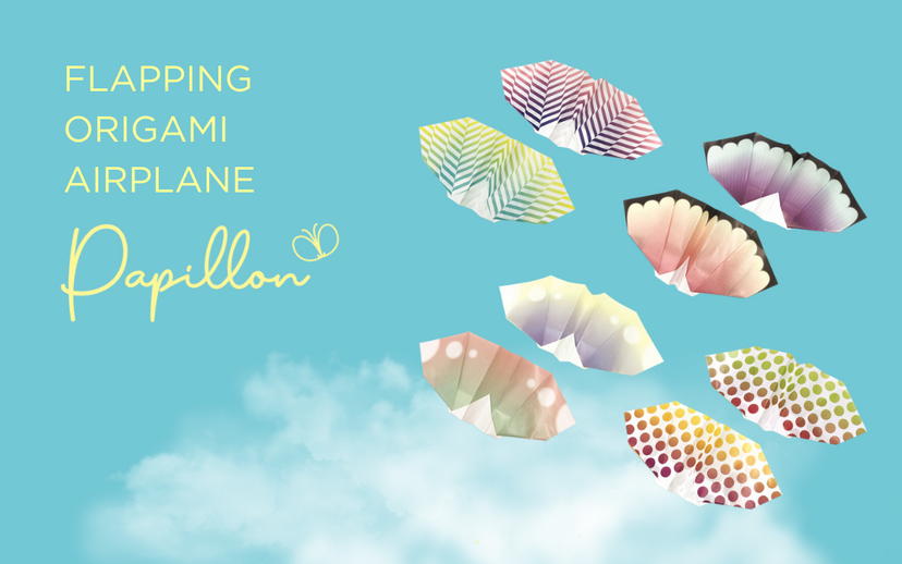 Papillon Origami Airplanes E3