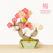 Japanese Apricot